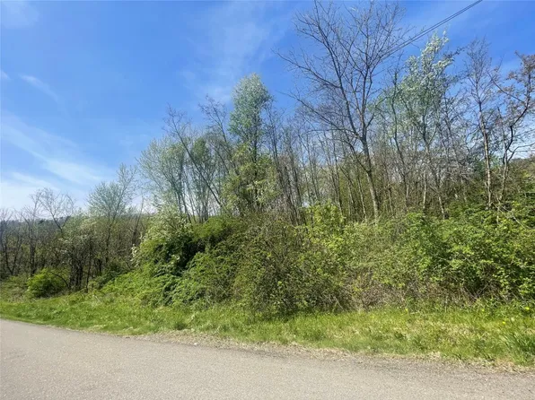 445 Miller Beach Rd, Owego, NY 13827