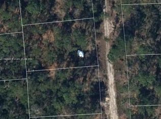 256 Sunnyside Dr, Lake Placid, FL 33852