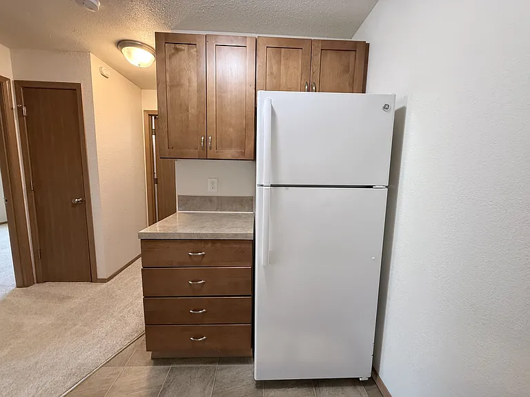 1120 Avenue A #205 — Photo 12