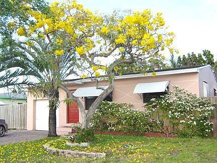 Front lots of bloomings