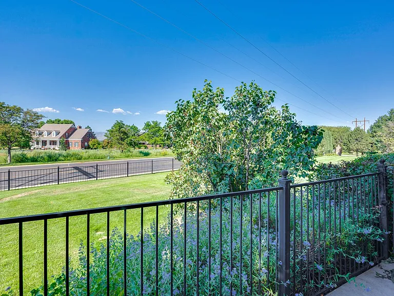 Terrace View