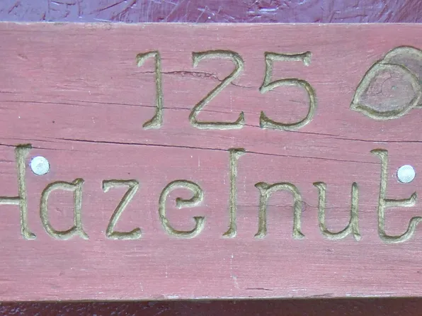 125 Hazelnut Ln, Dunmore, WV 24934