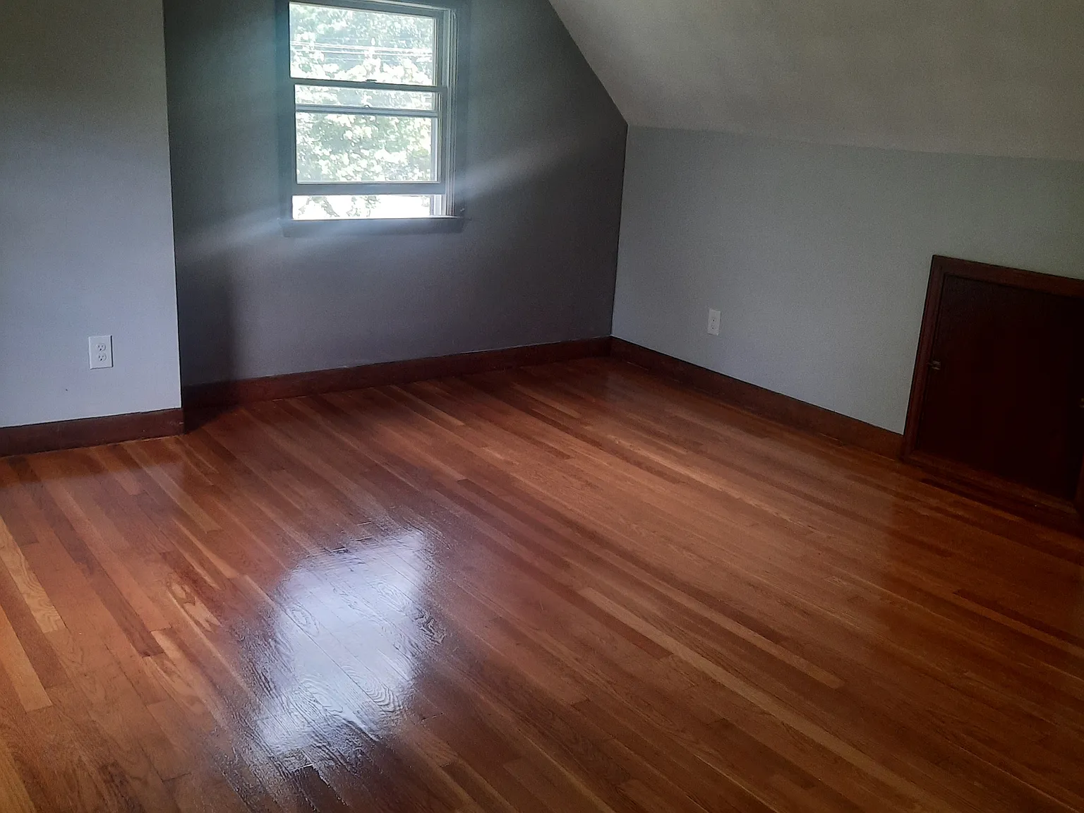 3 bed, 1.5 bath, 1300 sqft, $2,950 — Photo 4
