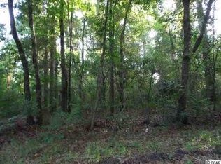 0 Richardson Ln, Pawleys Island, SC 29585