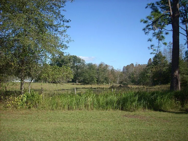 View of pasture (more photos coming soon)