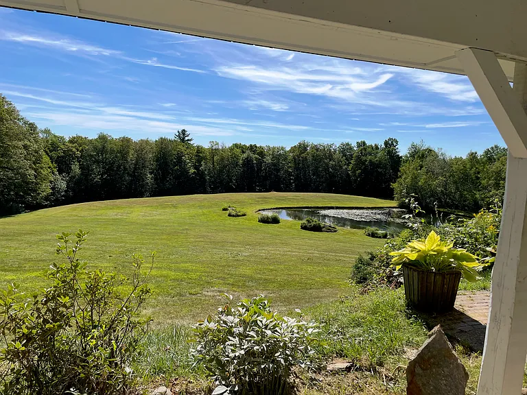 View from patio