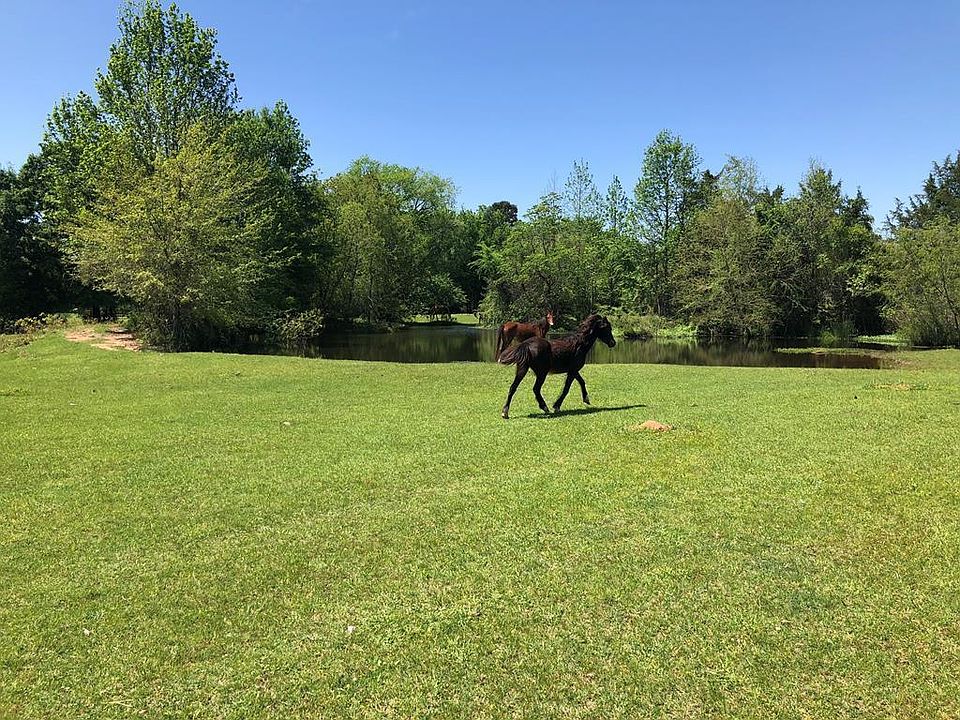 1st image of 1803 County Road 3046