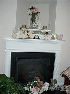 Gas Log Fireplace