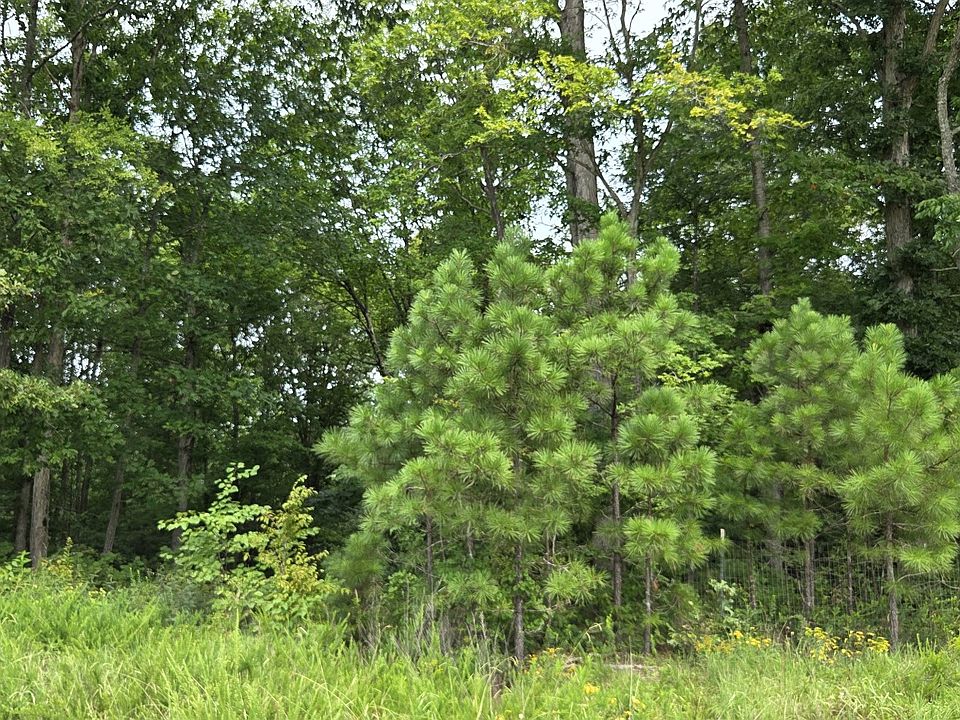 1st image of 0 Mathis Cemetery Rd