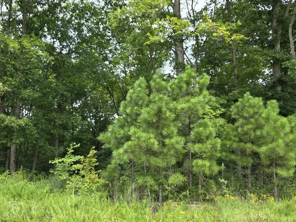 0 Mathis Cemetery Rd, Stewart, TN 37175