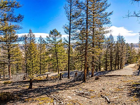 3rd image of 2623 Redhill Rd