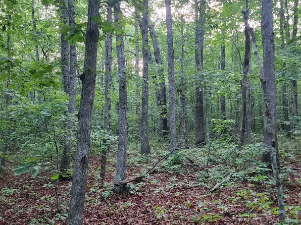 273 Quail Dr, Altamont, TN 37301