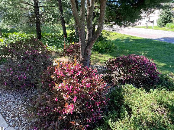 4th image of 1199 Terrace Bluff Dr