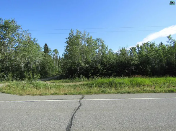4994 Jack Warren Ropad, Delta Junction, AK 99737