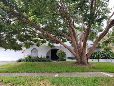 3200 Sandy Ridge Dr, Clearwater, FL, 33761