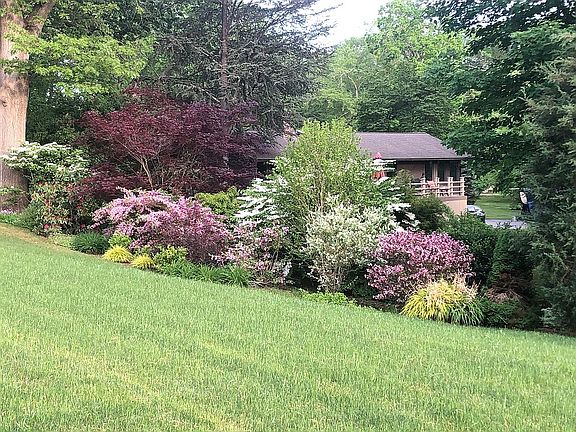 Side yard landscaping