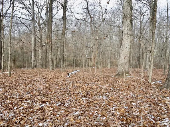 0 N Maysville Ln, Mount Vernon, IL 62864