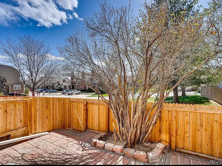 Backyard- new fence