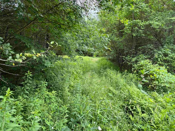 90 Stone Hill Ridge, Rumney, NH 03266