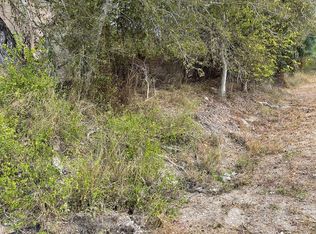 TBD n highway 37 access LOT 1, Three Rivers, TX 78071