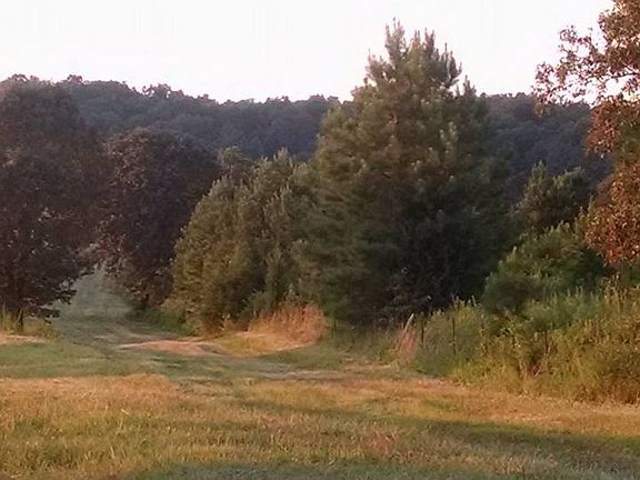 3rd image of 8105 Highway 412 W