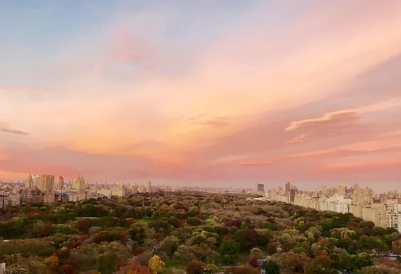 Sold by Ortoli Richard | media 26