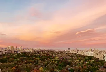 Sold by Ortoli Richard