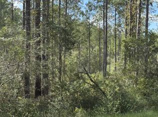 LOT Foots Stevens Rd #B, Poplarville, MS 39470