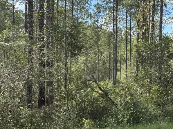 LOT Foots Stevens Rd #B, Poplarville, MS 39470