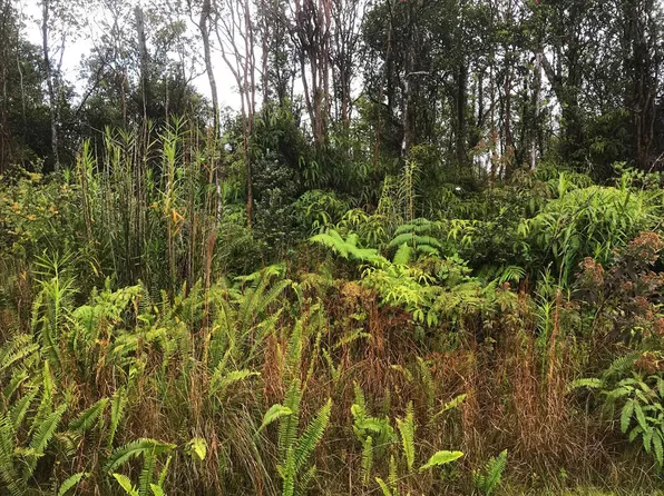 Jungle King Ave Lot 65, Volcano, HI 96785