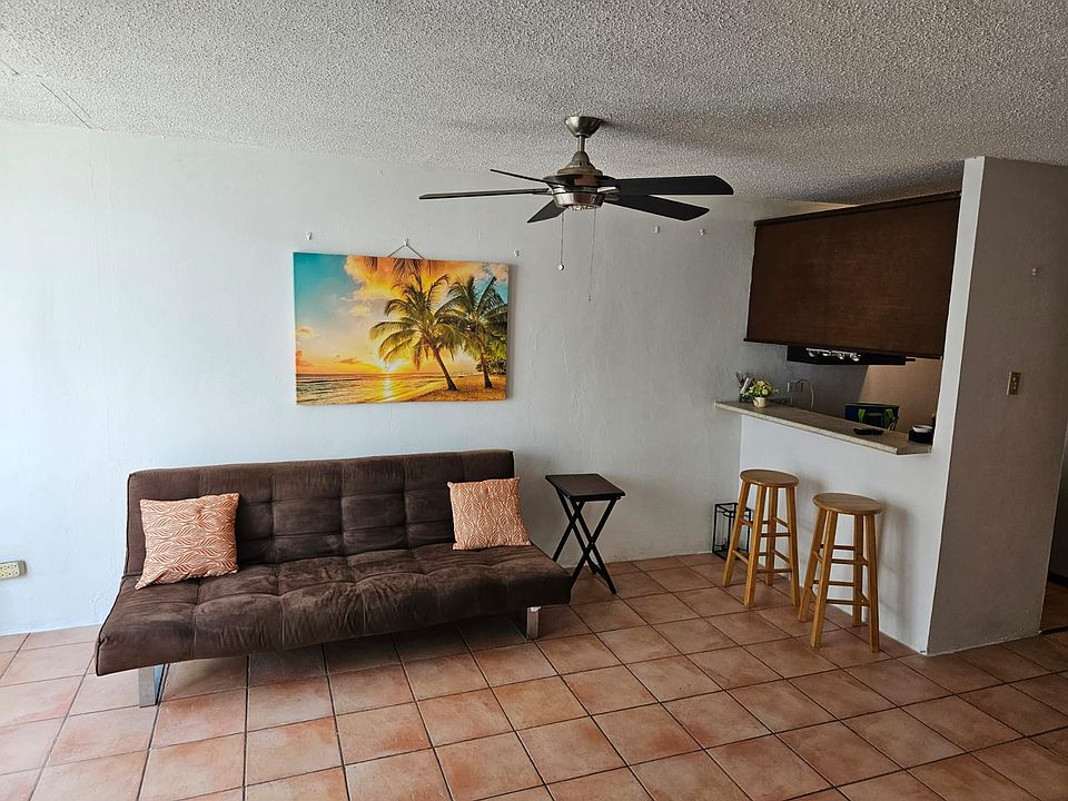 Pull-out couch, Kitchen has a bar that looks into balcony and living area.