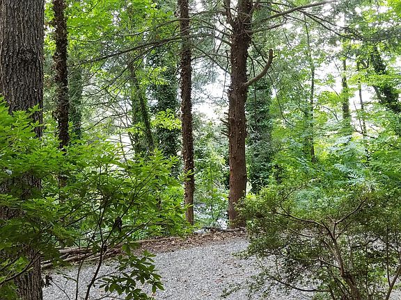 Gorgeous, peaceful wooded view