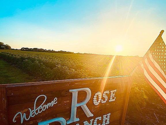Welcome to Rose Ranch!