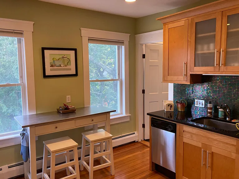 Kitchen (with dishwasher) looking onto the backyard