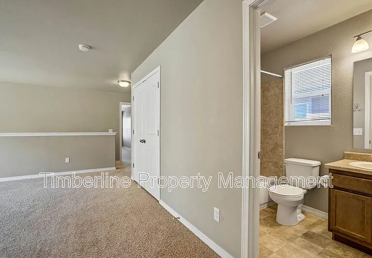 7673 Crestone Peak Trl — Photo 46