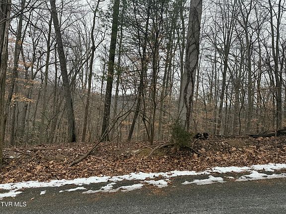 2nd image of LOT 4 Skyline Dr