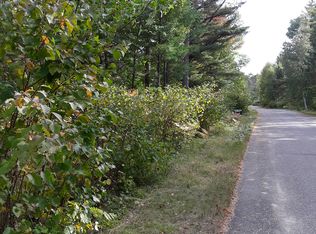 Wilderness Rd #4, St Germain, WI 54560