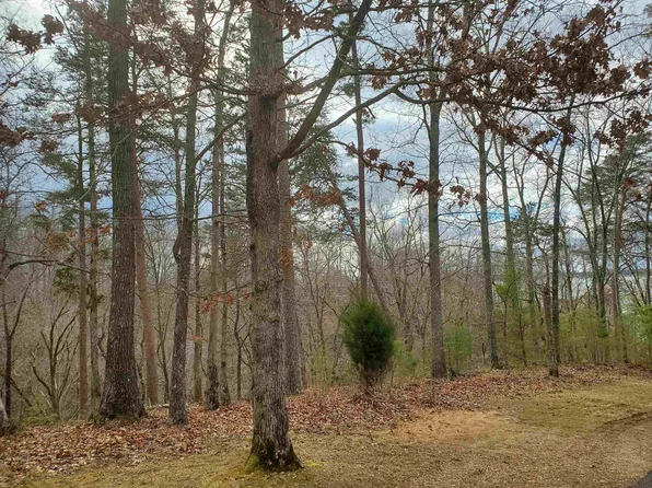 LOT 223 Ridgeview Cv, Savannah, TN 38372