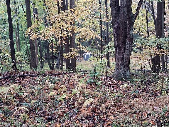 4th image of 0 Popson Rd