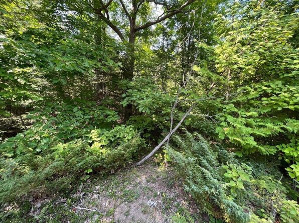 Nhn Renwick Cir, Presque Isle, MI 49777