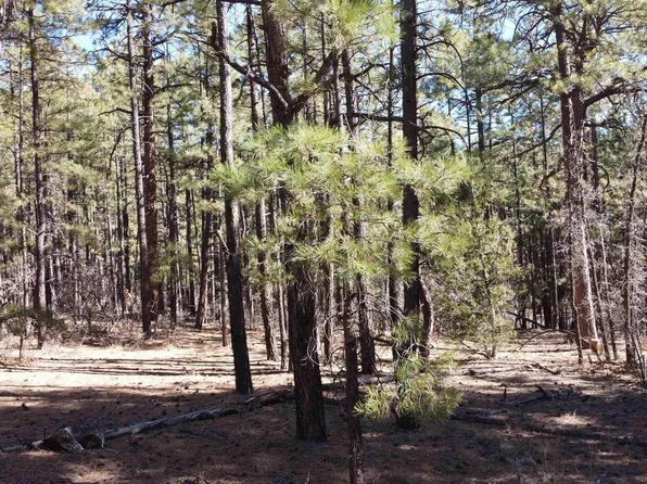 LOT-34C McGaffey Pnes, Fort Wingate, NM 87316