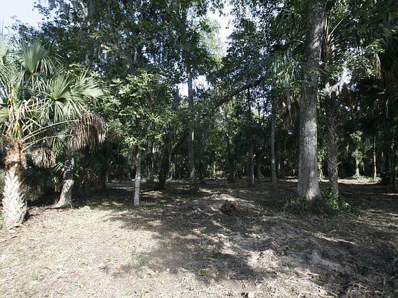 4th image of 13855 Saxon Lake Dr