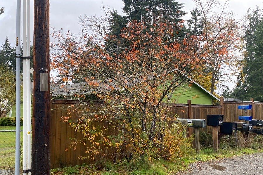 1st image of 3307 253rd Street Ct E