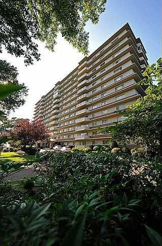 1960 N Parkway #801