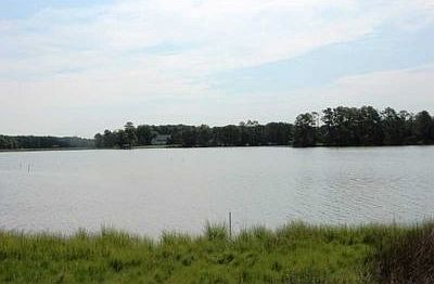 4th image of 8793 Coles Landing Dr