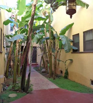 courtyard
