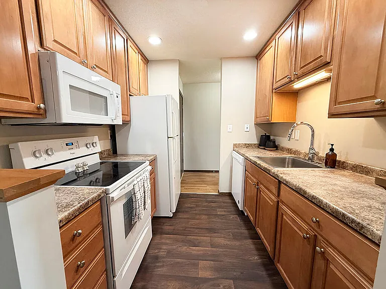 Sleek Hardwood-Style Flooring