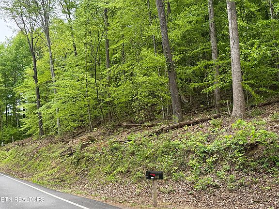 5th image of Lots A&b Alder Springs Rd