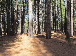 125 Quail View Cir, Clio, CA 96106