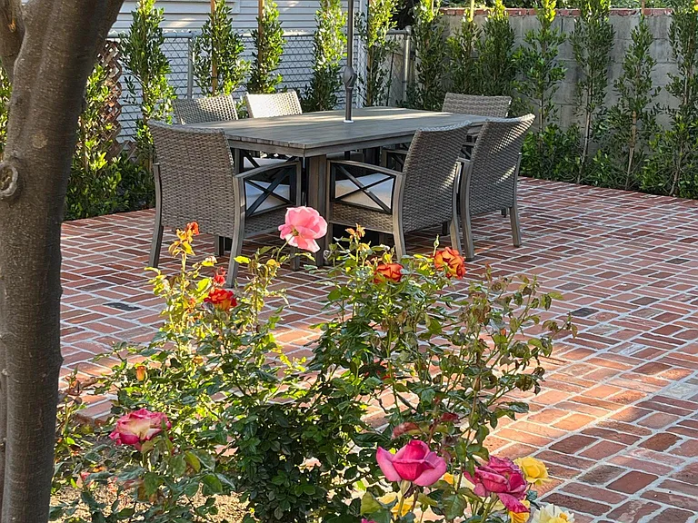 Back patio and garden